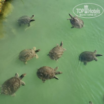 фото из отзыва ID 2721066