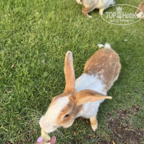 фото из отзыва ID 2721092