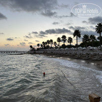 фото из отзыва ID 2721110