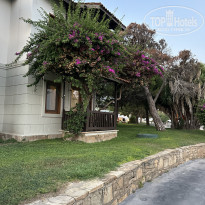 фото из отзыва ID 2721110