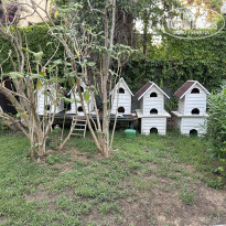 фото из отзыва ID 2721110