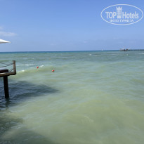 фото из отзыва ID 2721110