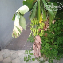 фото из отзыва ID 2721113