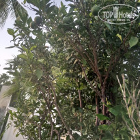 фото из отзыва ID 2721113