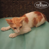 фото из отзыва ID 2721007