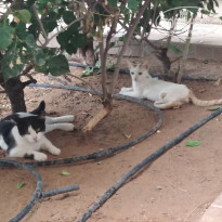 фото из отзыва ID 2721007