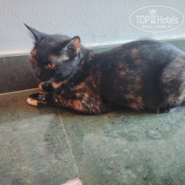 фото из отзыва ID 2721007