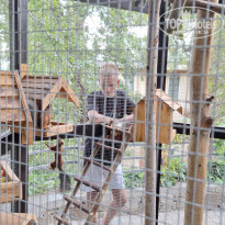 фото из отзыва ID 2721122