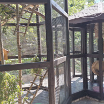 фото из отзыва ID 2721122