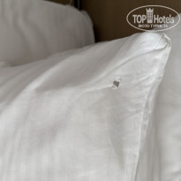 фото из отзыва ID 2721128