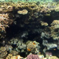 фото из отзыва ID 2721193