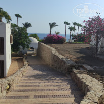 фото из отзыва ID 2721193