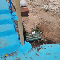 фото из отзыва ID 2721198