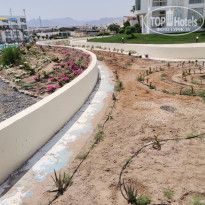 фото из отзыва ID 2721198