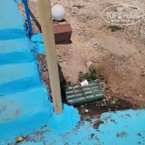 фото из отзыва ID 2721198