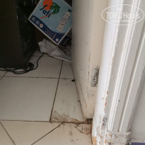 фото из отзыва ID 2721198