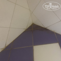 фото из отзыва ID 2721198