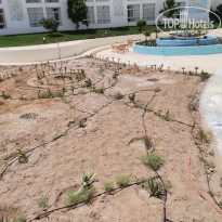 фото из отзыва ID 2721198