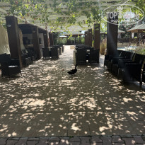 фото из отзыва ID 2721216