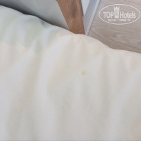 фото из отзыва ID 2721218