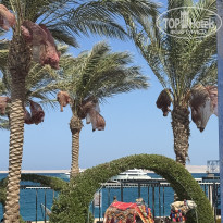 фото из отзыва ID 2721224