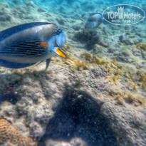 фото из отзыва ID 2721224