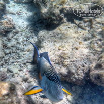 фото из отзыва ID 2721224