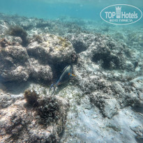 фото из отзыва ID 2721224