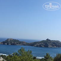 фото из отзыва ID 2721230