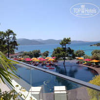 фото из отзыва ID 2721233