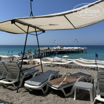 фото из отзыва ID 2721275