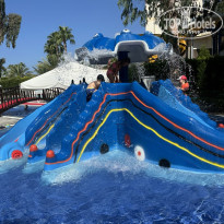 фото из отзыва ID 2721275