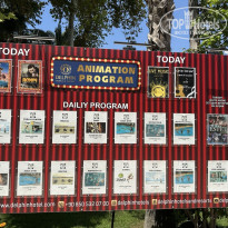 фото из отзыва ID 2721275