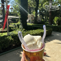 фото из отзыва ID 2721275