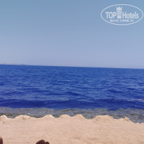 фото из отзыва ID 2721286