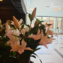 фото из отзыва ID 2721289