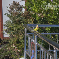 фото из отзыва ID 2721289