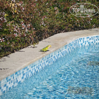 фото из отзыва ID 2721289