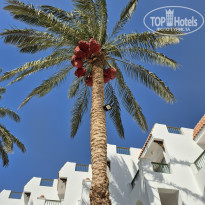 фото из отзыва ID 2721313