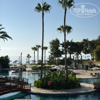 фото из отзыва ID 2720406