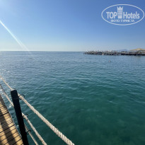 фото из отзыва ID 2721386