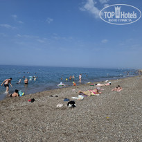 фото из отзыва ID 2720697