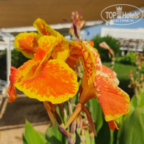 фото из отзыва ID 2721400