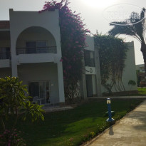 фото из отзыва ID 2721148