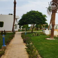 фото из отзыва ID 2721148