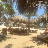 фото из отзыва ID 2721430