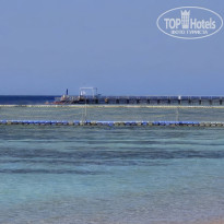 фото из отзыва ID 2721313