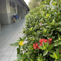 фото из отзыва ID 2721459