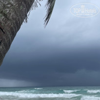 фото из отзыва ID 2721459