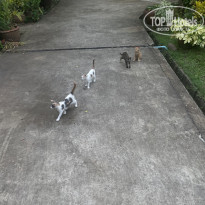 фото из отзыва ID 2721459